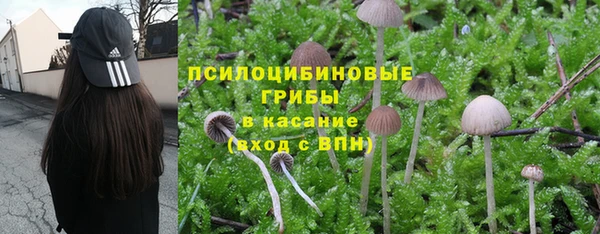 ALPHA PVP Алексин