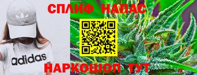 ECSTASY Краснознаменск