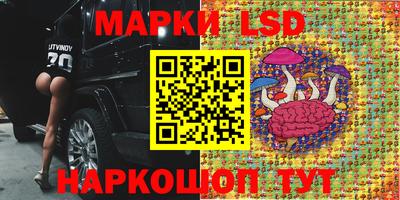 ECSTASY Краснознаменск