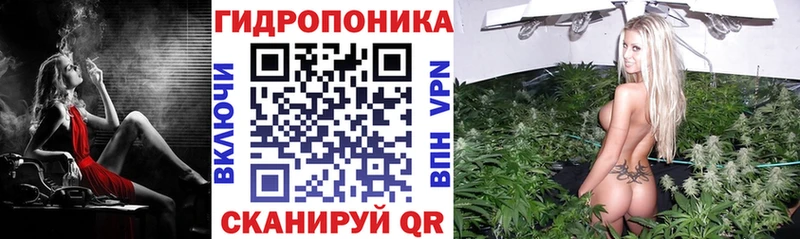 Конопля OG Kush ОМГ ОМГ вход Куйбышев наркота