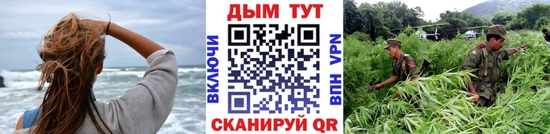 Марихуана планчик Куйбышев